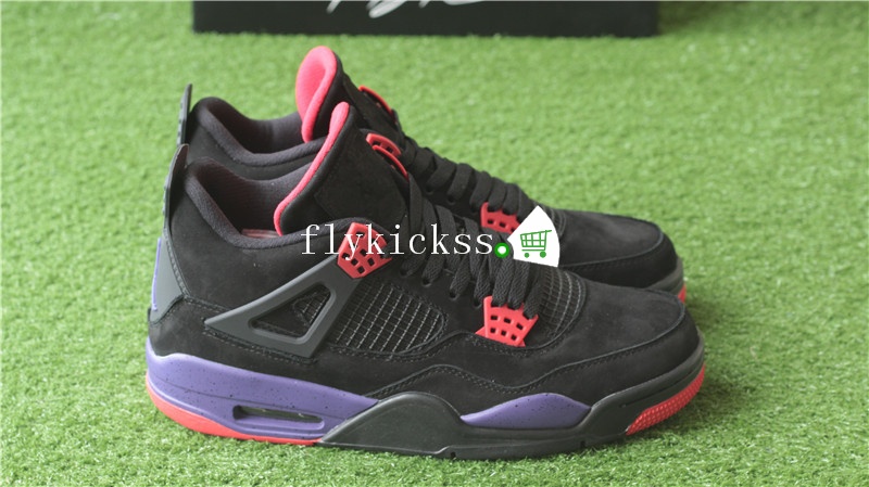 Air Jordan 4 Retro NRG Raptors